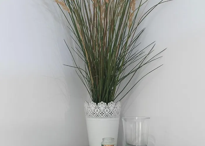 Niebieski C4 Διαμέρισμα