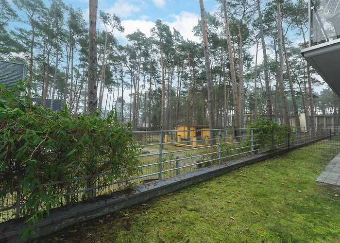 Niebieski C4 * بوبيروفو